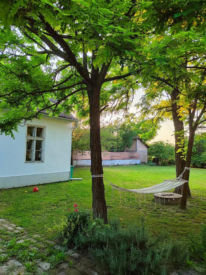 Ethno&Coffee House Tulip Bed & Breakfast Glozan Luaran gambar